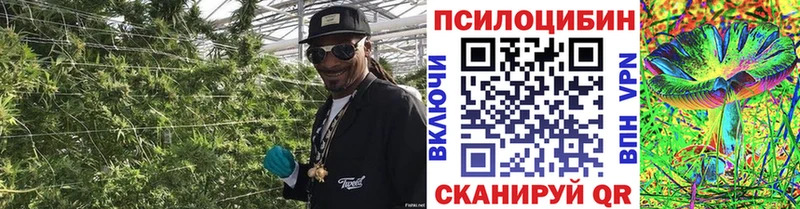 Псилоцибиновые грибы MAGIC MUSHROOMS  Кувшиново 